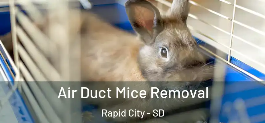 Air Duct Mice Removal Rapid City - SD