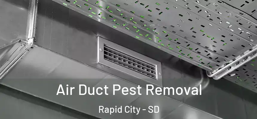 Air Duct Pest Removal Rapid City - SD