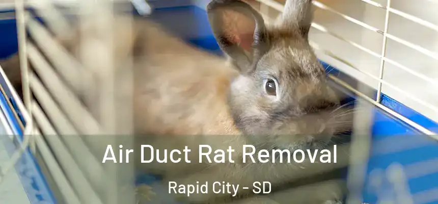 Air Duct Rat Removal Rapid City - SD