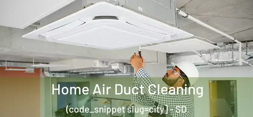  Home Air Duct Cleaning (code_snippet slug=city] - SD