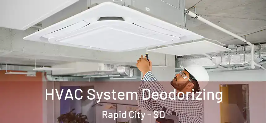 HVAC System Deodorizing Rapid City - SD