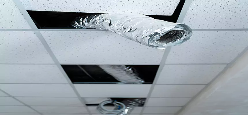 Our Air Duct Pet Hair Removal Services in Rapid City, SD