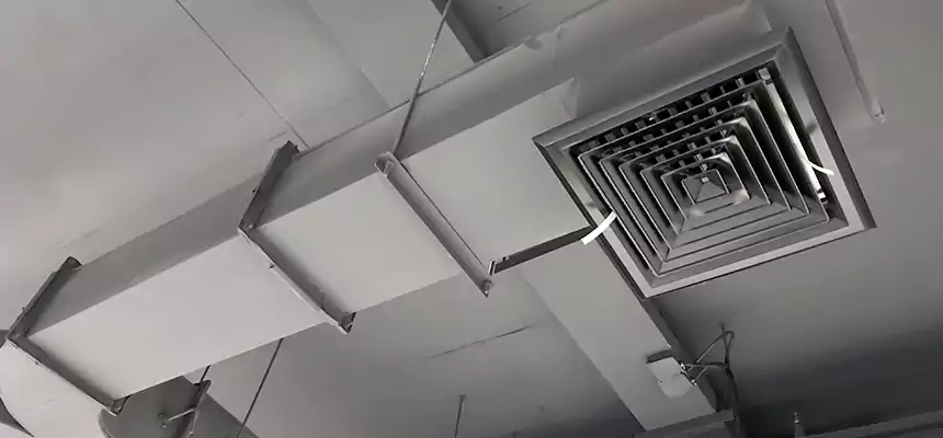 Restorative Allergy Relief Vent Cleaning – Coil, Blower & Housing Detail in Rapid City