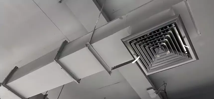 Our Rodent Droppings In Vents Services in Rapid City, SD