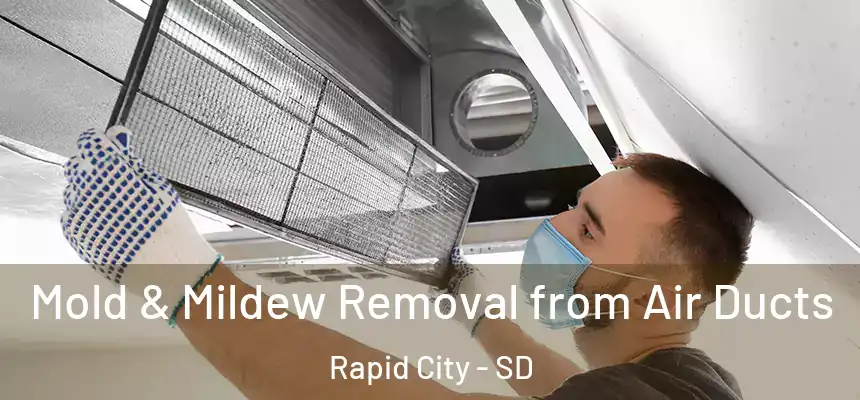 Mold & Mildew Removal from Air Ducts Rapid City - SD