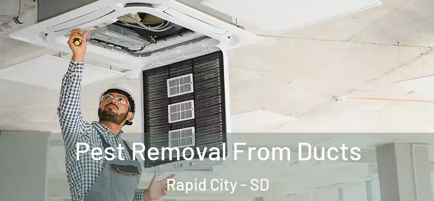 Pest Removal From Ducts Rapid City - SD