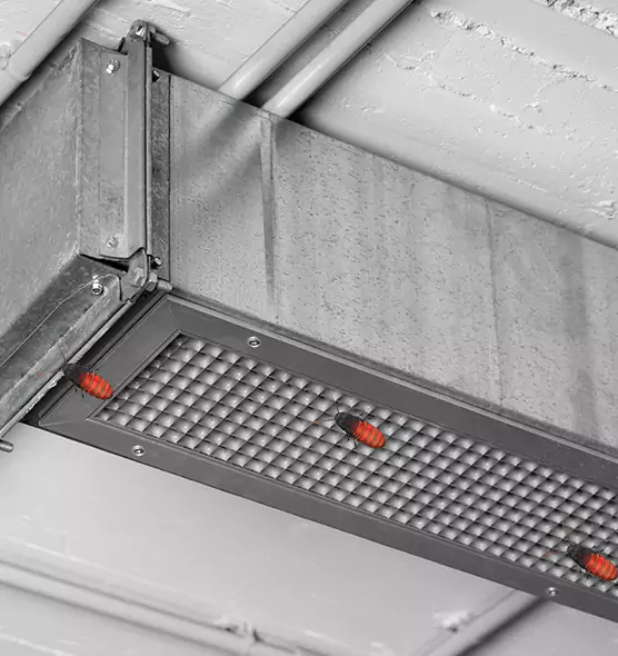 About Air Duct Cockroach Removal in Rapid City, SD